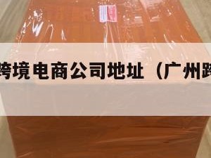 广州小包跨境电商公司地址（广州跨境电商小包物流）