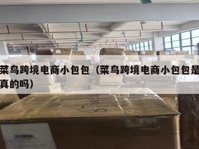 菜鸟跨境电商小包包（菜鸟跨境电商小包包是真的吗）