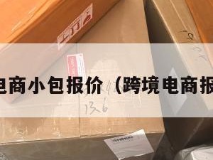 跨境电商小包报价（跨境电商报价表）