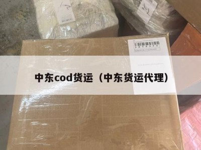 中东cod货运（中东货运代理）