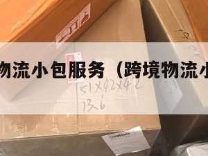 跨境电商物流小包服务（跨境物流小包是什么意思）