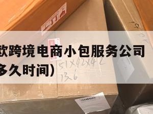 深圳到东欧跨境电商小包服务公司（深圳到东南亚需要多久时间）
