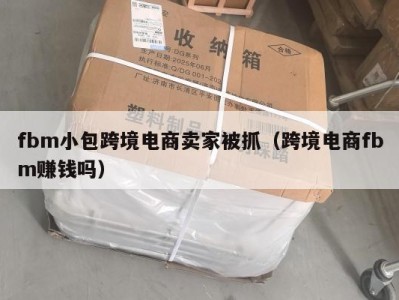 fbm小包跨境电商卖家被抓（跨境电商fbm赚钱吗）