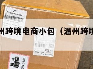 洛杉矶温州跨境电商小包（温州跨境电商企业）