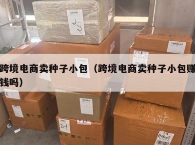 跨境电商卖种子小包（跨境电商卖种子小包赚钱吗）