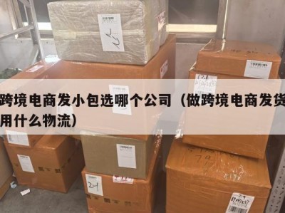 跨境电商发小包选哪个公司（做跨境电商发货用什么物流）