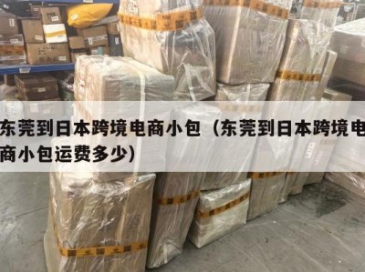 东莞到日本跨境电商小包（东莞到日本跨境电商小包运费多少）