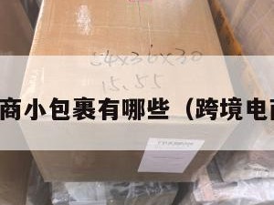 跨境电商小包裹有哪些（跨境电商包邮）