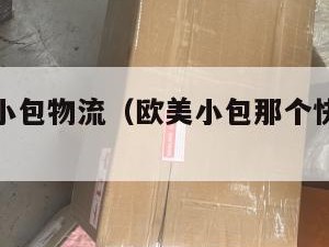 欧美电商小包物流(欧美小包那个快递公司好)