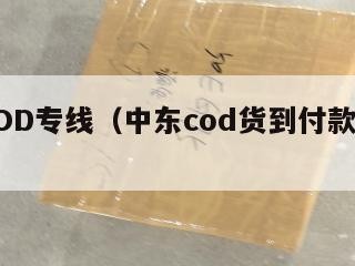 中东COD专线（中东cod货到付款好做吗）