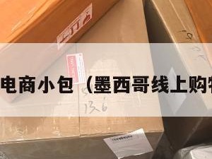 墨西哥电商小包（墨西哥线上购物平台）