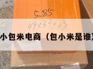 小包米电商（包小米是谁）