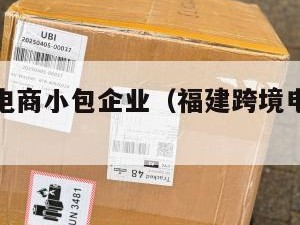 福建跨境电商小包企业（福建跨境电商公司排名最新）