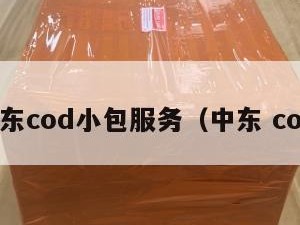 中东cod小包服务（中东 cod）