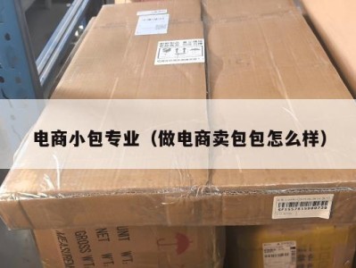 电商小包专业（做电商卖包包怎么样）