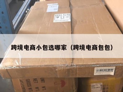 跨境电商小包选哪家（跨境电商包包）