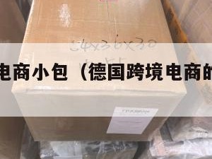 德国跨境电商小包（德国跨境电商的发展情况）