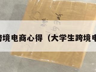 大学生跨境电商心得（大学生跨境电商总结）