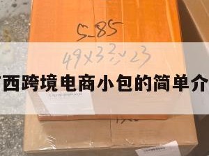 广西跨境电商小包的简单介绍