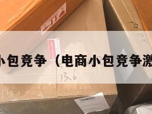 电商小包竞争（电商小包竞争激烈吗）