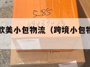 跨境电商欧美小包物流（跨境小包物流运费怎么计算）