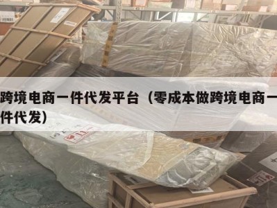 跨境电商一件代发平台（零成本做跨境电商一件代发）