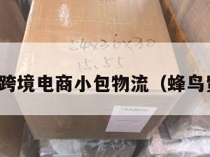 蜂鸟跨境电商小包物流（蜂鸟贸易）