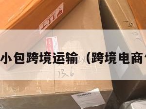 电商小包跨境运输（跨境电商包邮）