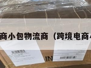 跨境电商小包物流商（跨境电商小包裹）