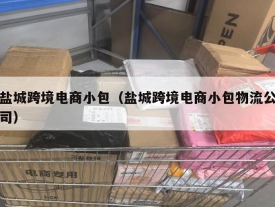 盐城跨境电商小包（盐城跨境电商小包物流公司）
