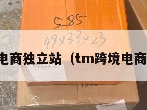 跨境电商独立站（tm跨境电商平台）