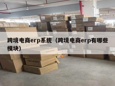 跨境电商erp系统（跨境电商erp有哪些模块）