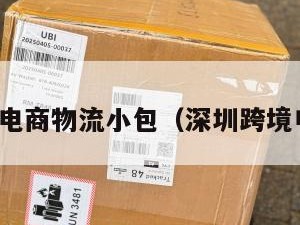 坂田跨境电商物流小包（深圳跨境电商物流）