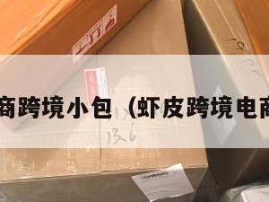 虾皮电商跨境小包（虾皮跨境电商3980）
