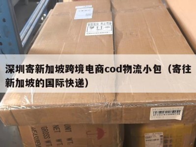 深圳寄新加坡跨境电商cod物流小包（寄往新加坡的国际快递）