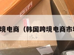 韩国跨境电商（韩国跨境电商市场现状）