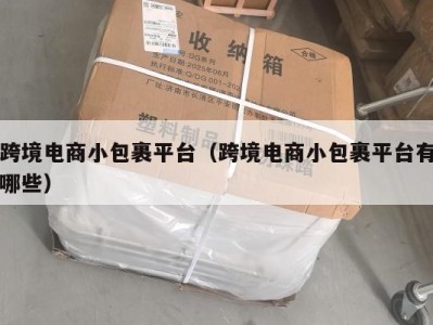 跨境电商小包裹平台（跨境电商小包裹平台有哪些）