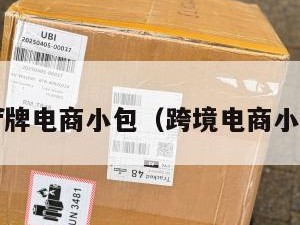 跨境f牌电商小包（跨境电商小包裹）