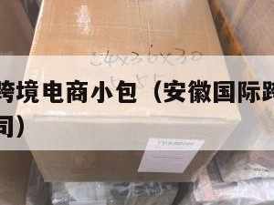 安徽国际跨境电商小包（安徽国际跨境电商小包物流公司）