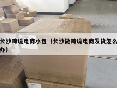 长沙跨境电商小包（长沙做跨境电商发货怎么办）