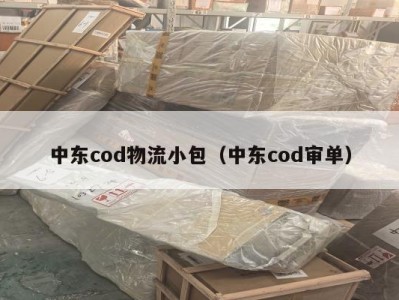 中东cod物流小包（中东cod审单）