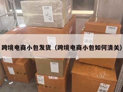 跨境电商小包发货（跨境电商小包如何清关）