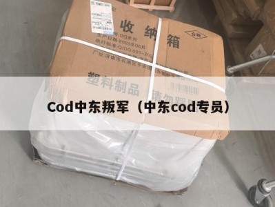 Cod中东叛军（中东cod专员）