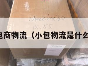 小包电商物流（小包物流是什么意思）