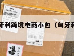 深圳到匈牙利跨境电商小包（匈牙利邮寄到国内运费）