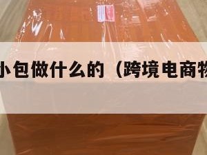 跨境电商小包做什么的（跨境电商物流小包专线）