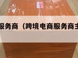 跨境电商服务商（跨境电商服务商主要做什么）