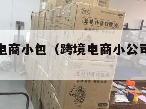 无锡跨境电商小包（跨境电商小公司待遇怎么样）