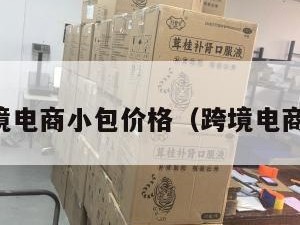 中国跨境电商小包价格（跨境电商小包裹）