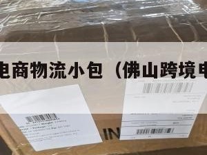 佛山跨境电商物流小包（佛山跨境电商公共服务平台）